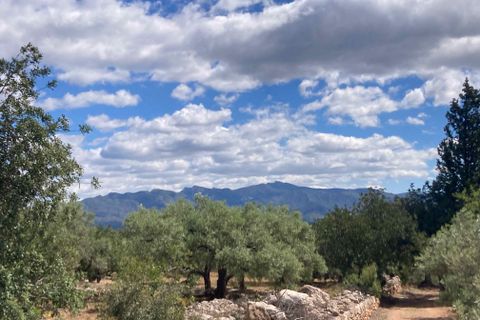 Landejendom i El Perello, Tarragona, El Perello - € 83.000 | Ref: Finca Gran Inti - foto 22